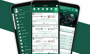 Comprehensive BetWinner Review Everything You Need to Know Comprehensive BetWinner Review Everything You Need to Know